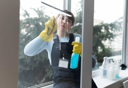 Nettoyage de vitres intérieures et extérieures à Roussillon